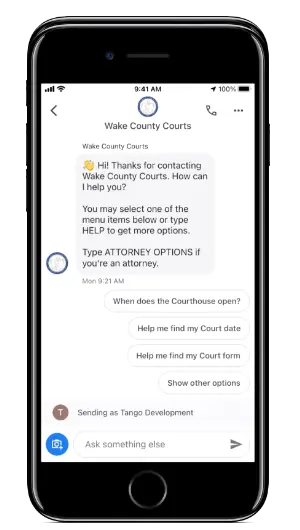 Chatbots for Government